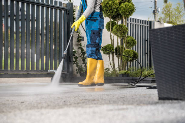 Best Driveway Pressure Washing  in Winnsboro, LA